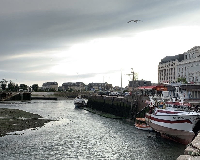 D1A8F77F-DD96-422A-9D91-BA2760C32A31 (1)